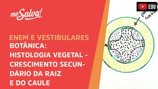 Me Salva BOT21  Botânica  Histologia vegetal crescimento secundário da raíz e do caule [upl. by Alana]