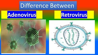 ADENOVIRUS Vs RETROVIRUS [upl. by Schulze414]