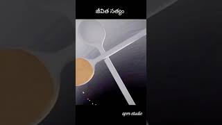 జీవిత sathyalu [upl. by Sitra710]