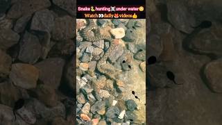 snake🐍hunting under water😳  snake attack  snake bite  shorts snake reptiles deadlyfoorest [upl. by Garland]