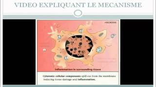 Biologie Cellulaire apoptose et la nécrose [upl. by Erick351]