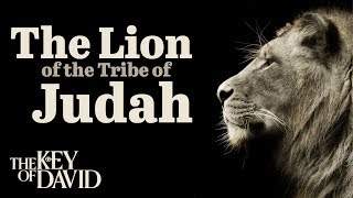 The Lion of the Tribe of Judah [upl. by Anaeel]