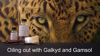 Oiling out an oil painting with Galkyd and Gamsol before varnishing [upl. by Atterg191]