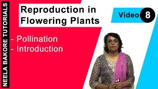 Reproduction in Flowering Plants  NEET  Pollination  Introduction  Neela Bakore Tutorials [upl. by Xever]