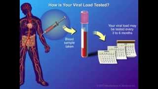 Viral Load and Monitoring [upl. by Enoryt]