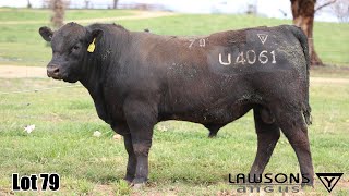 Lot 79 Lawsons Quinella VLY23U4061 [upl. by Fabrienne]