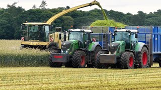 RG Contracting chopping rye at Clova Farms [upl. by Edyak]