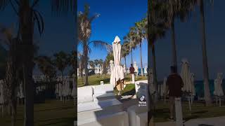 Cyrus GREAT Constantinos The Great Beach Hotel funny viral shortsfeed tiktok doggydoggy trend [upl. by Navek]