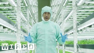 Tokyo’s Vertical Farms  The Future of Farming  WIRED [upl. by Drehcir]