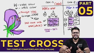 Mastering TEST CROSS  Principles of Inheritance and Variations  CLASS 05 [upl. by Nitnert480]