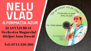 NOU Nelu Vlad  Și astăzi beau  Acompaniază Orchestra Mugurelul [upl. by Souza]