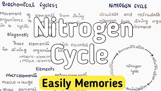 Nitrogen Removal Basics [upl. by Greabe]