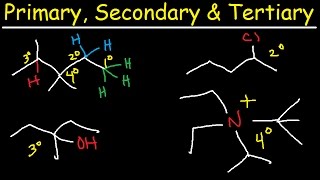 Primary Secondary Tertiary amp Quarternary Hydrogen and Carbon Atoms [upl. by Hplodnar]