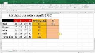 Calculer un POURCENTAGE avec EXCEL Cours Office en français [upl. by Tadich]