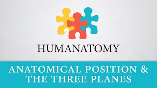 Anatomical Position and The Three Planes [upl. by Leda]