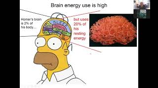 David Attwell  The role of glia and pericytes in regulating brain blood flow in health and disease [upl. by Silva]