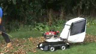 Leaf and Branch Cleanup With Gas Chipper Blower Vacuum [upl. by Assirim]