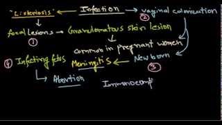 Listeria monocytogenes infection [upl. by Atiuqcaj]