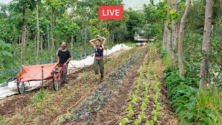 AGRICOLTURA RIGENERATIVA e AGROFORESTAZIONE Con Matteo Mazzola 🔴 [upl. by Ahsier]