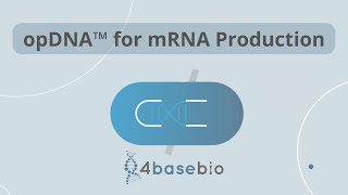 4basebio DNA for in vitro mRNA Production [upl. by Buote226]