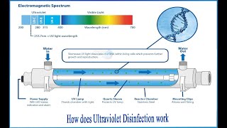 Ballast Water Treatment Systems BWTS and Ballast Water Management Plan BWMP [upl. by Anaig]