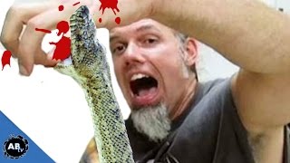 Snake Bite Chewys Back SnakeBytesTV  Ep 408  AnimalBytesTV [upl. by Hadwyn]