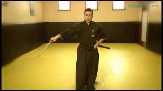 Iaido 8 Fases del kata [upl. by Rao]