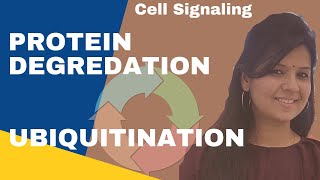 Ubiquitination Proteasome Pathway ll Protein Degradation csirnet gatelifesciences [upl. by Minardi]