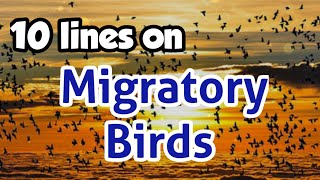 migratory birds short notes 10 lines on migratory birds in India migratory birds essay in English [upl. by Eigla626]