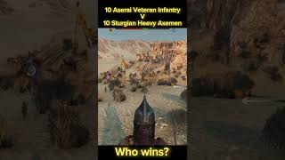 10 Aserai Veteran Infantry v 10 Sturgian Heavy Axemen who wins  Mount amp Blade Bannerlord [upl. by Nnodnarb]