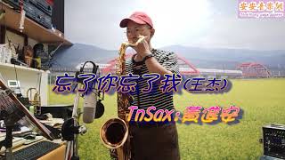 忘了你忘了我王傑黃進安TnSax演奏 [upl. by Reffinej]