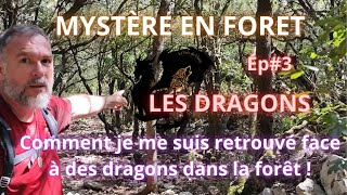 Saison 3 003 comment je me suis retrouvé face à des dragons en forêt 11112024 [upl. by Alisan799]