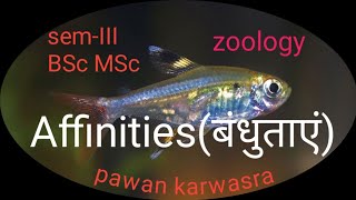 Affinities of hemichordata amp echinodermata cephalochordata and chordata । BSc I MSc । [upl. by Calbert]