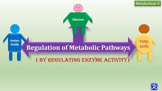 5 Regulation of Metabolic Pathways  Mechanisms of Regulation of Enzyme Activity Metabolism5 [upl. by Coombs]