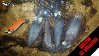 EGING IN CYPRUS SQUID FISHING ΨΑΡΕΜΑ ΚΑΛΑΜΑΡΙΩΝ [upl. by Savihc]