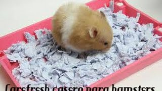 Carefresh casero para hamster ♥ [upl. by Dnomaj]