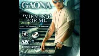 Gaona  Vienen Por Mi  Full Records [upl. by Giah952]