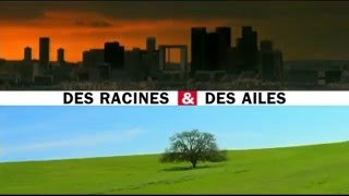 Des Racines et Des Ailes  Ancien générique [upl. by Ettevram141]