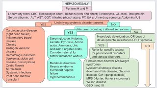 Hepatomegaly in pediatric [upl. by Deloris]