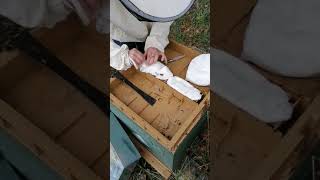 Tuto apiculture  Nourrir au candi avec couvre cadre nourrisseur plastique [upl. by Womack]