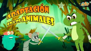 Adaptación De Los Animales  ¿Cómo Funciona La Adaptación En Los Animales  Ciencia Para Niños [upl. by Ojillek726]