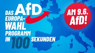 AfD Europawahlprogramm in 100 Sekunden [upl. by Tserof]