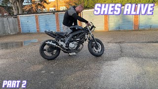 REBUILDING SV650 PART 2 SPROCKET CHANGE FIRST START [upl. by Zaid761]