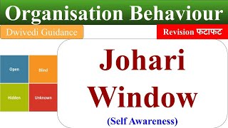 Johari Window Self Awareness johari window in hindi johari window explained OB [upl. by Syramad558]