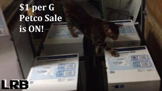 1 Dollar Per Gallon Petco Aquarium Sale Started Dec 26th Jan 28th [upl. by Audsley]