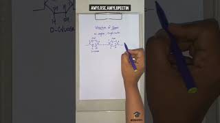 Structure of Starch  Amylose Amylopectin Structure  Medi Queries [upl. by Kcim]