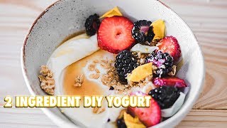 How To Make Your Own Yogurt With 2 Ingredients [upl. by Zubkoff]