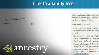 AncestryDNA  How To AncestryDNA Results To Your Ancestry Tree  Ancestry Academy  Ancestry [upl. by Lona]