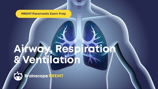 NREMT Paramedic Exam Prep Ep 1 30 Questions on Airway Respiration amp Ventilation [upl. by Maxey]