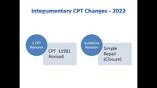 2022 CPT Changes  Integumentary System [upl. by Yoong]